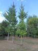 img20220815165452