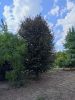 img20220815165514