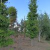 img20220815165726