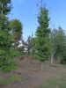 img20220815165726