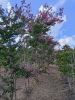 img20220815165744